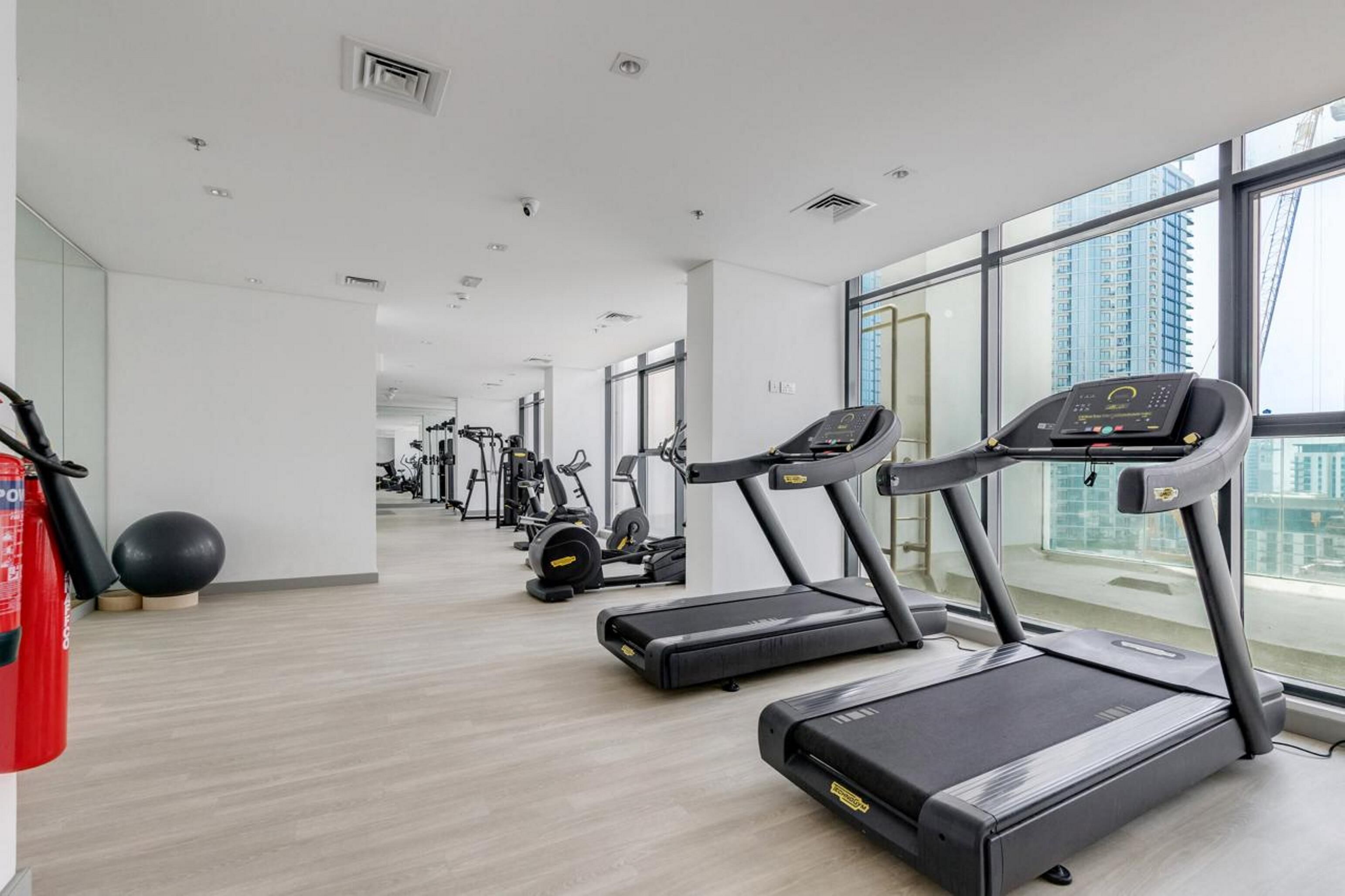 Gimnasio