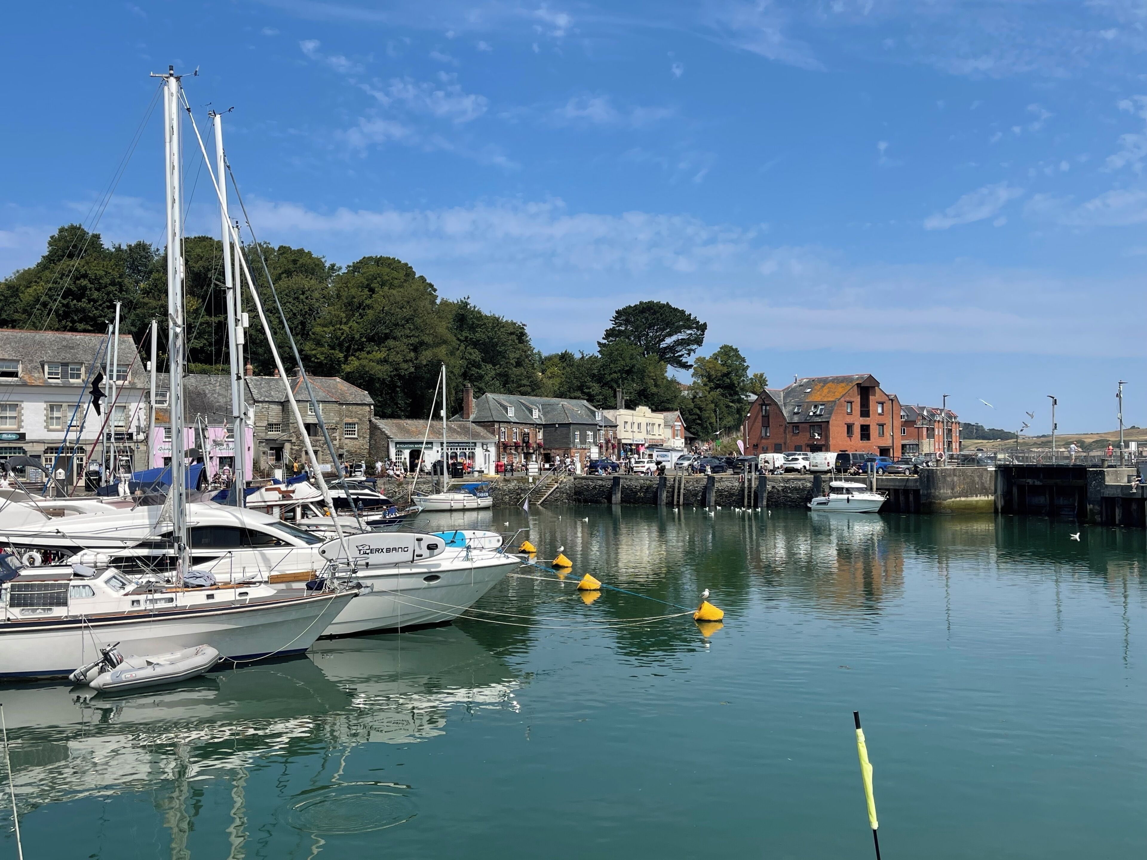 A marina with boats docked, a bridge, and buildings in the background.