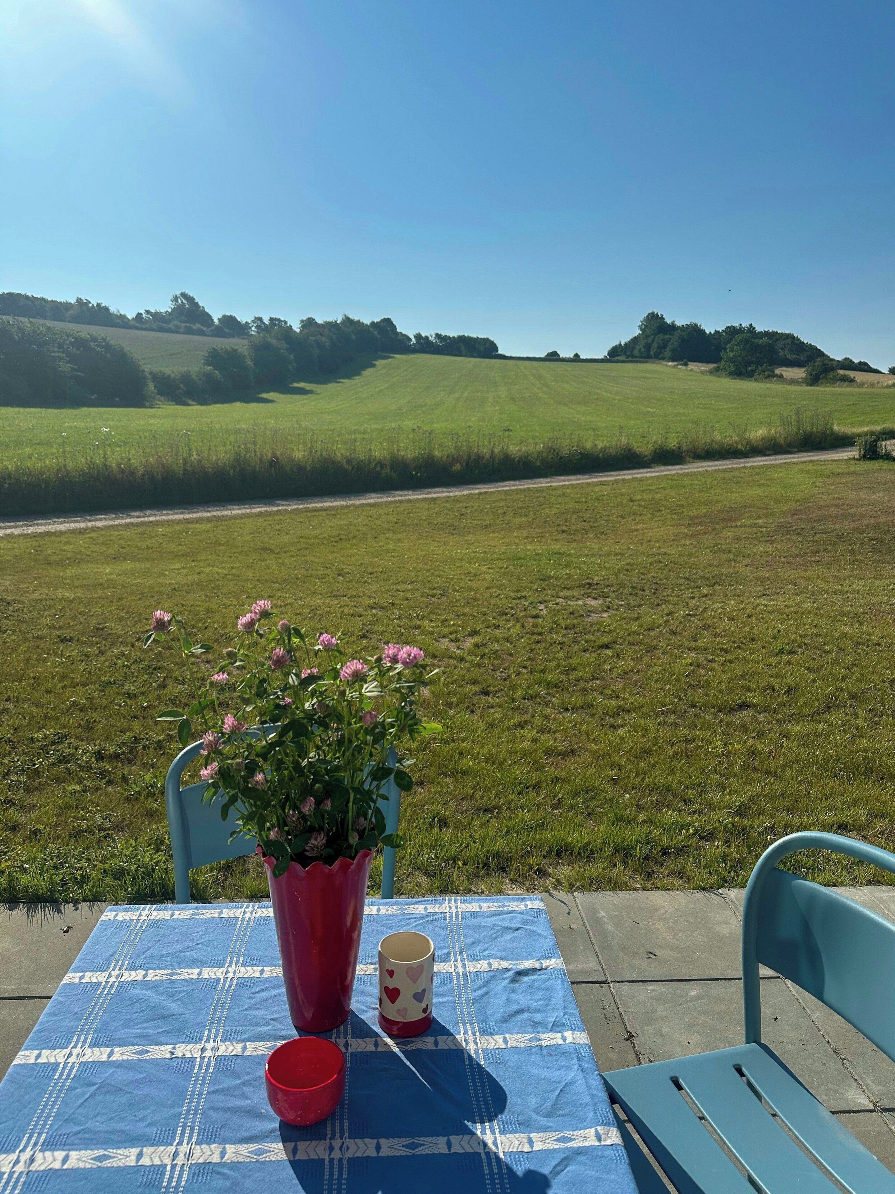 A table with a blue tablecloth, a red pot with pink flowers, a red cup, and a heart-patterned mug on a sunny day with a view of a green field and hills.