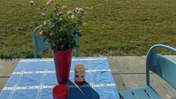 Pöytä, jonka päällä on sininen pöytäliina, punainen ruukku, jossa on vaaleanpunaisia kukkia, punainen kuppi ja sydänkuvioitu muki. Aurinkoisena päivänä avautuu näkymä vihreälle pellolle ja kukkuloille.