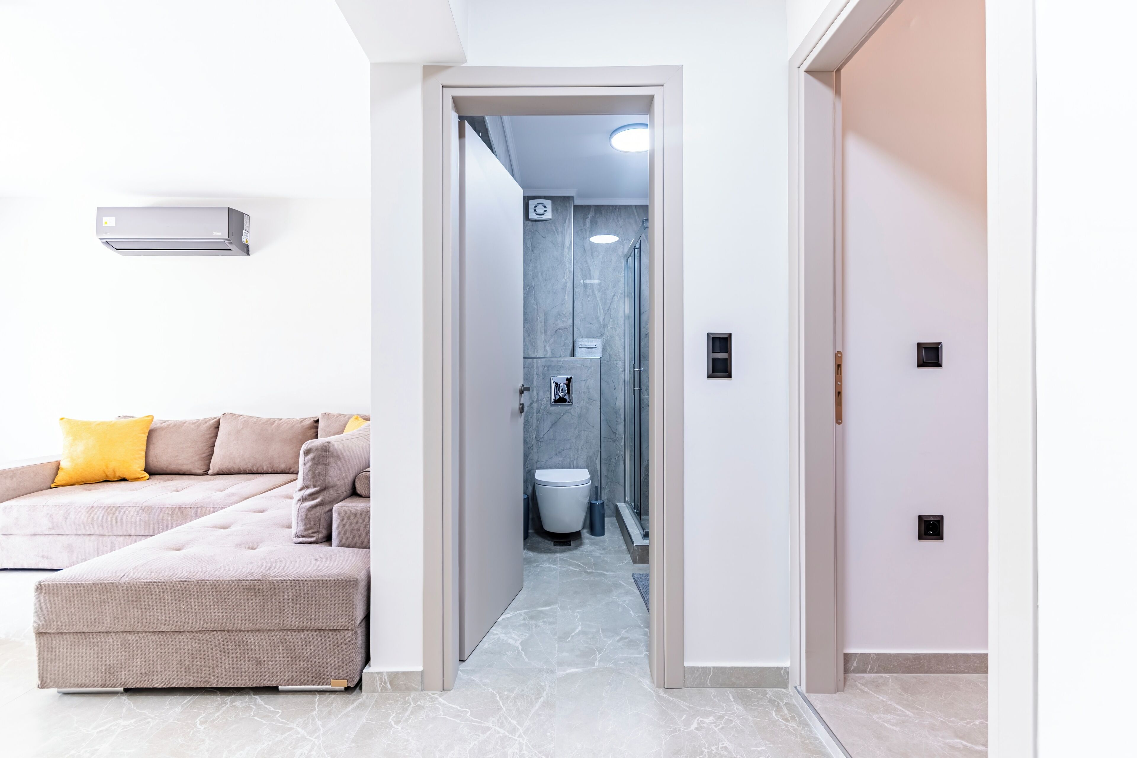 A modern interior with a sofa, a bathroom with a toilet and shower, and a hallway leading to a door.