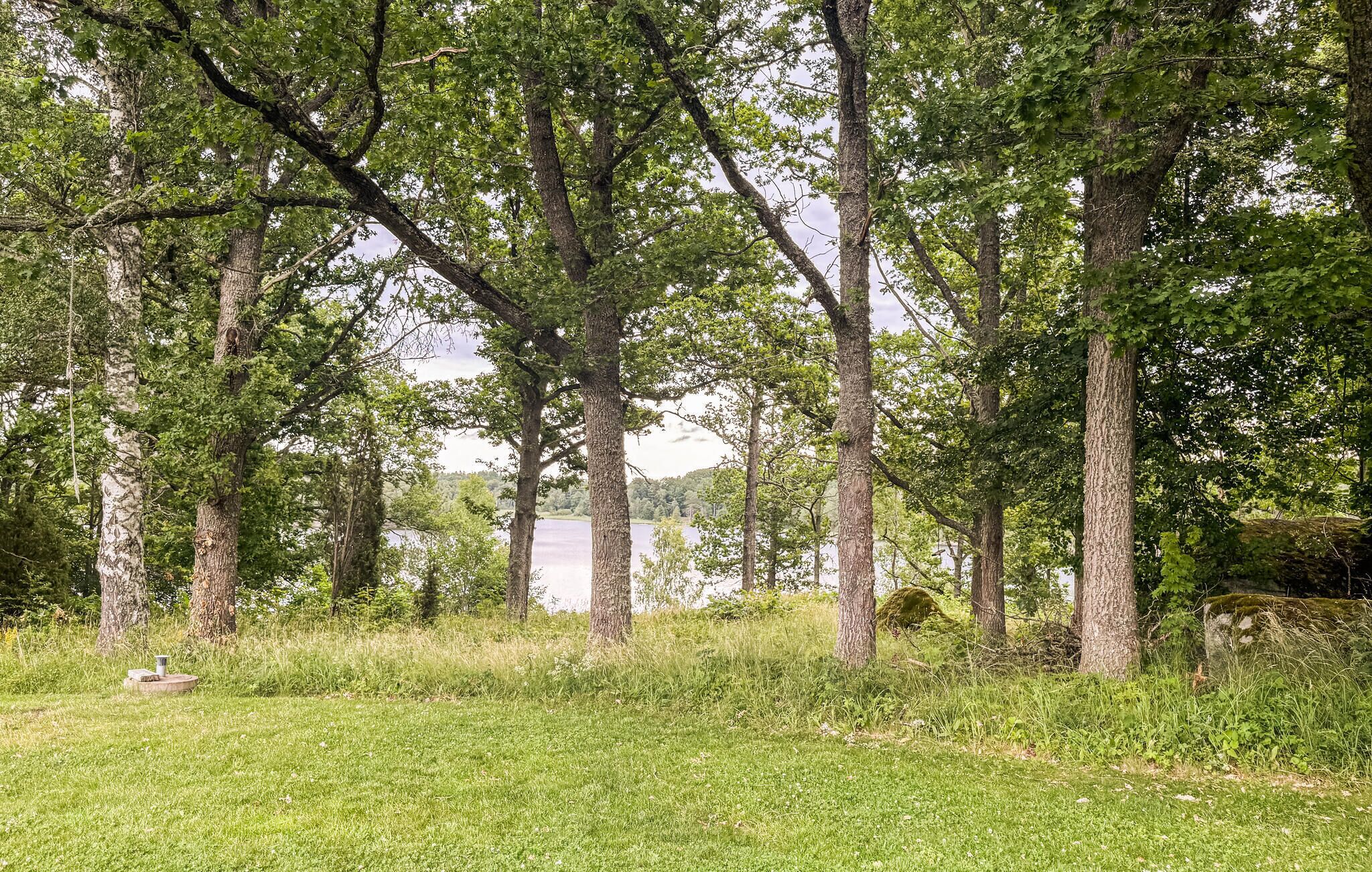 A natural landscape with trees and a body of water in the background.