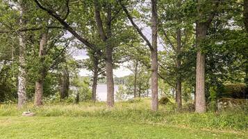 A natural landscape with trees and a body of water in the background.