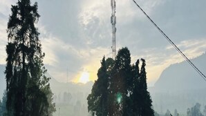 Halaman properti
