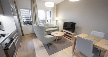 Ruka Ski Chalets 37m² (2+2 persons) with balcony and WiFi