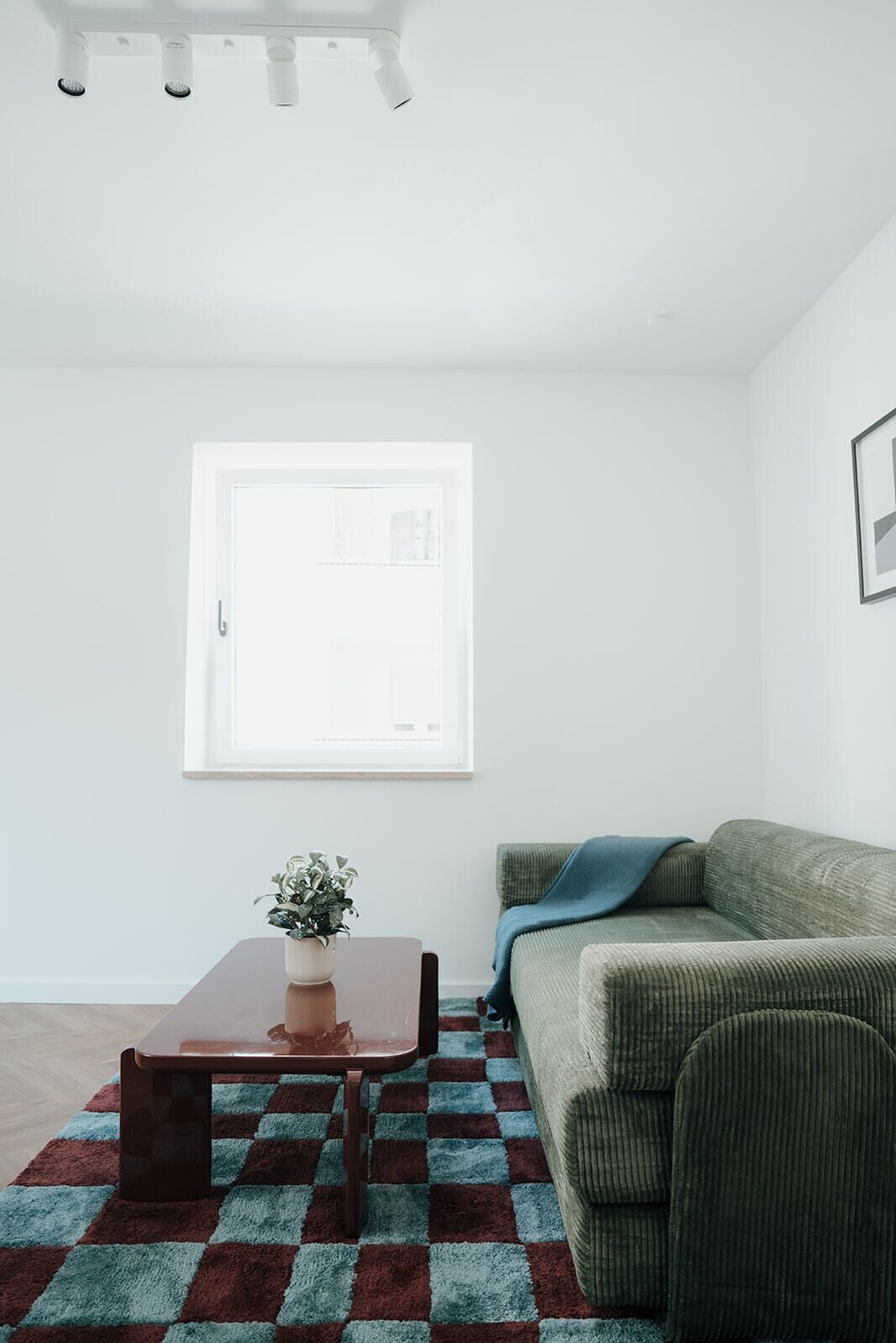 A living room with a sofa, a coffee table, a potted plant, and a patterned rug.