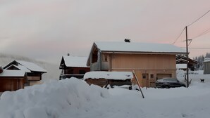 Vecindario residencial con casas cubiertas de nieve, un coche estacionado y un perro.