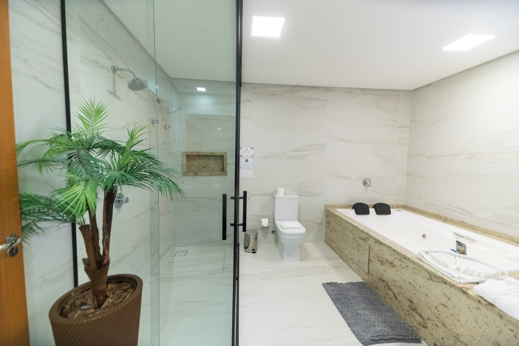 A modern bathroom with a glass-enclosed shower, a toilet, a sink with a countertop, and a potted plant.