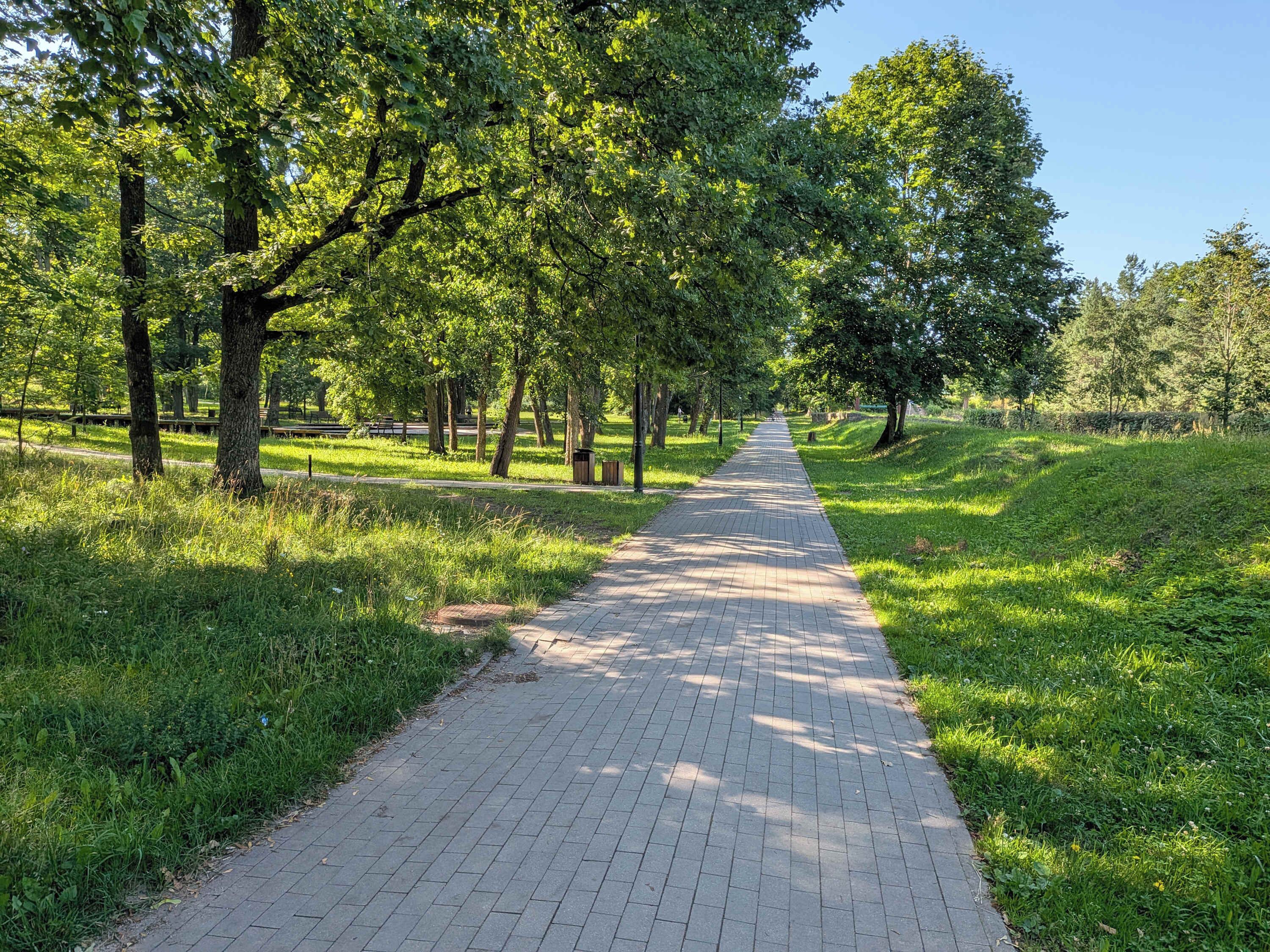 A paved pathway in a park with trees on both sides.