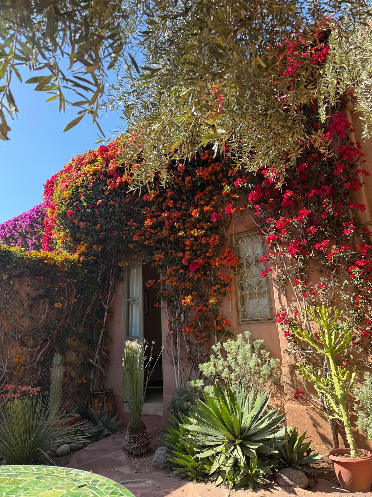 A building with a garden featuring various plants and flowers.
