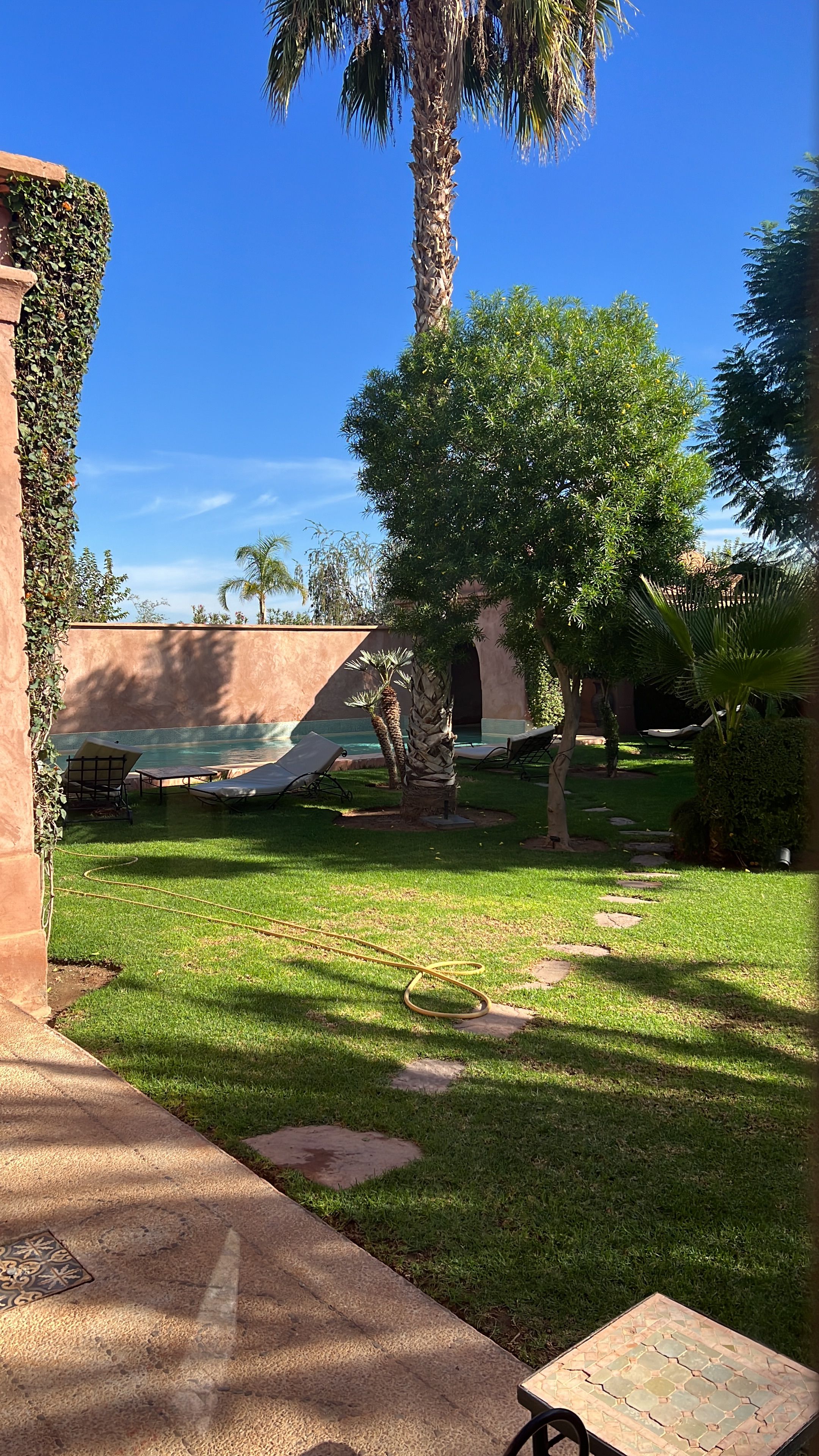 A well-maintained outdoor area with a swimming pool, lounge chairs, and a variety of trees.