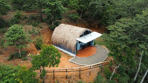 Nexgo Spaces - Spirit Of The Wild 