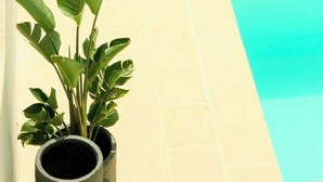 Área de piscina com piso em azulejo e parte de uma parede.