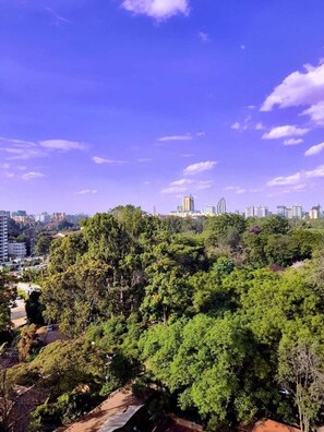 Vista desde la habitación