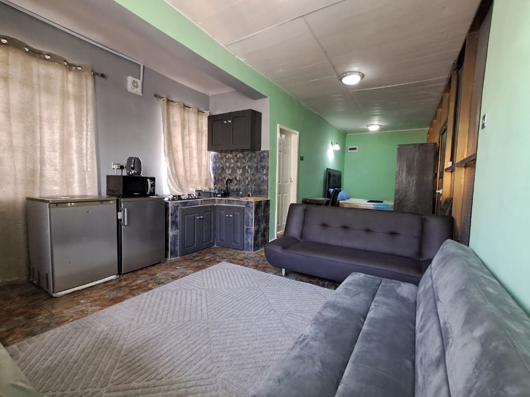 A compact living space with a kitchenette, a sofa, and a television.