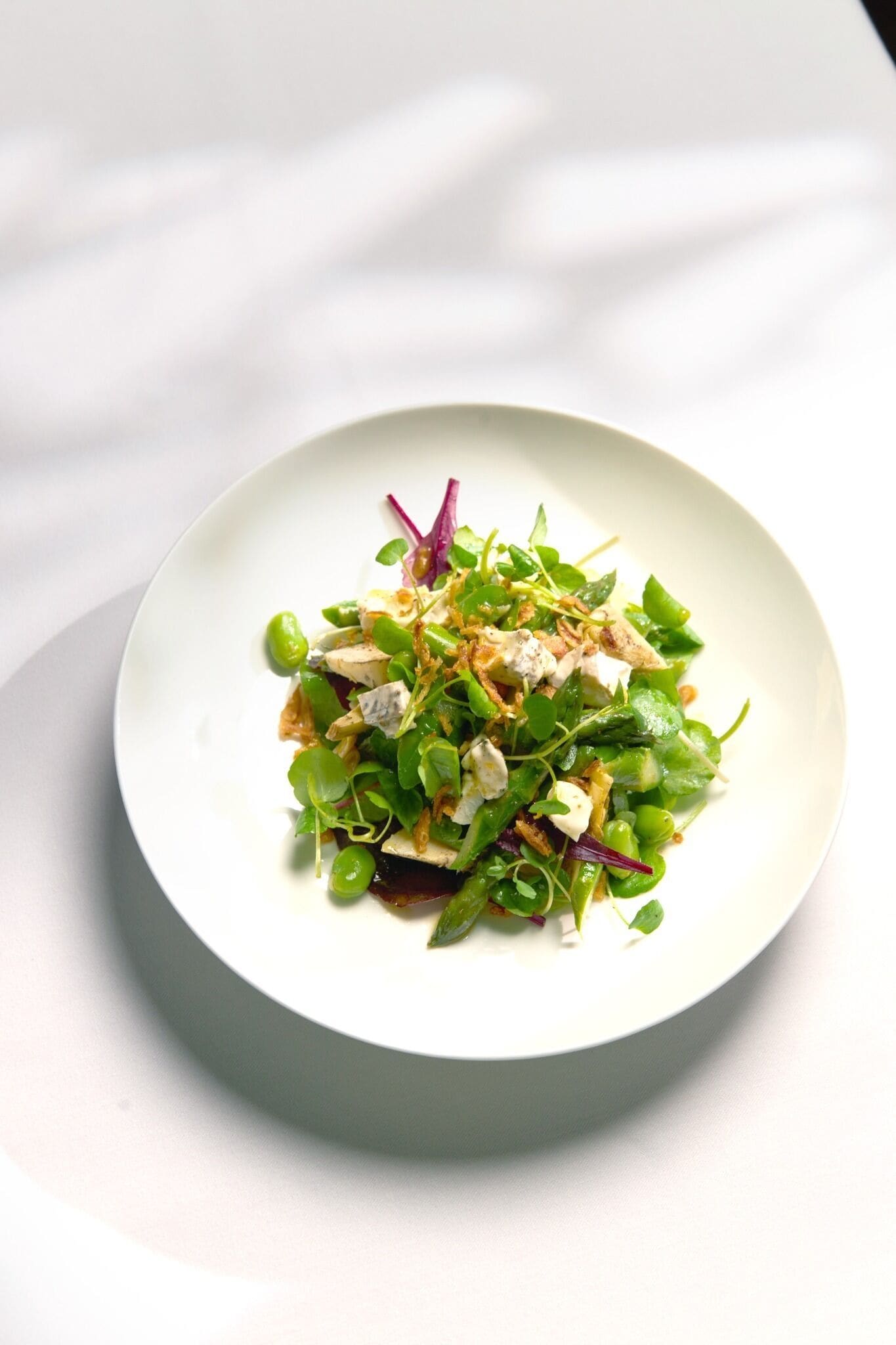 A white plate with a salad on a white surface.