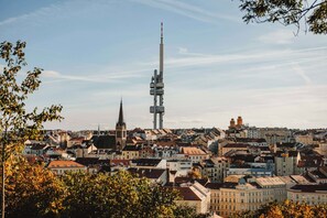 Uklassifisert bilde, 2 av 18, knapp