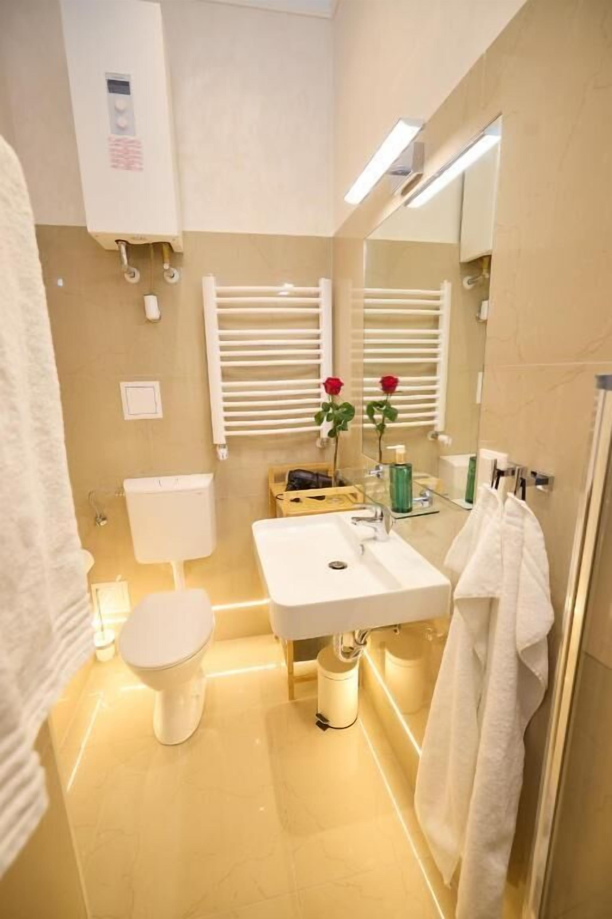 Een badkamer met toilet, wastafel, spiegel, handdoekhouder en douche.