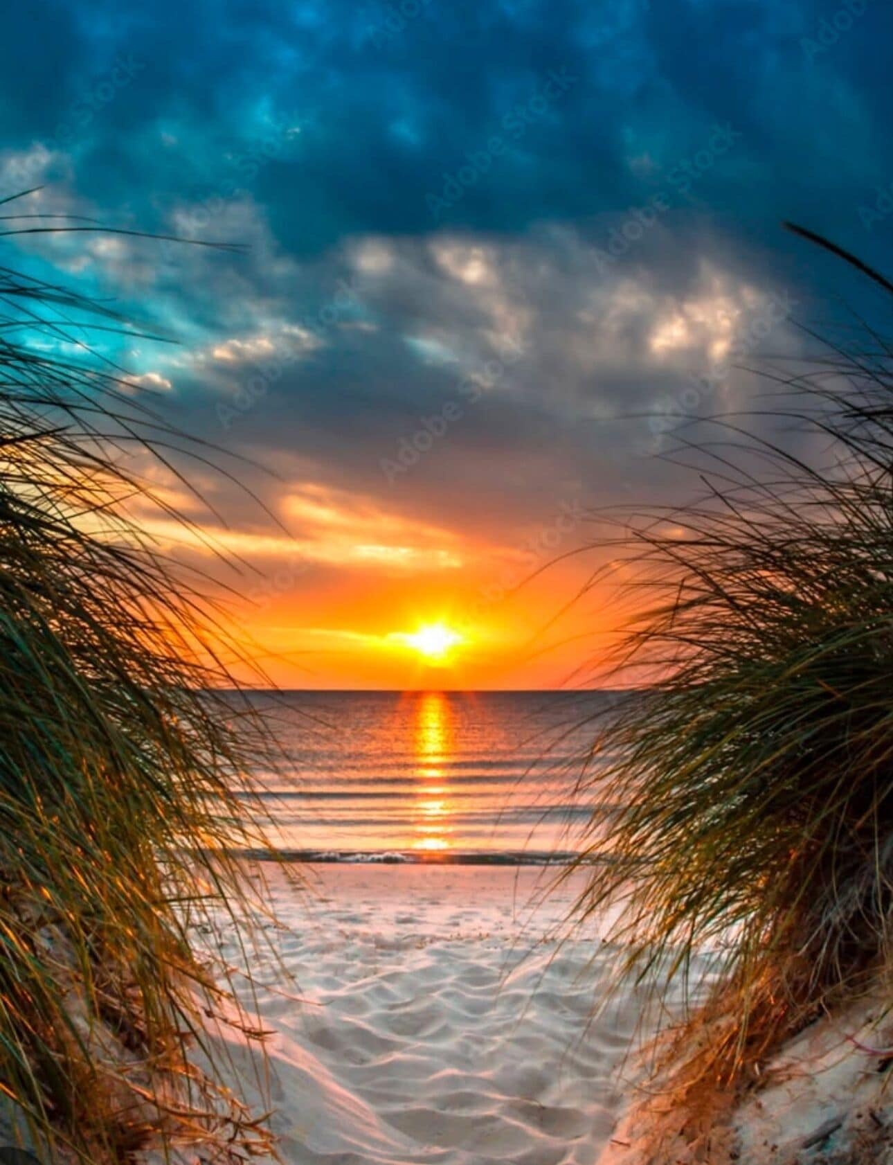 A beach scene with a sunset, palm fronds framing the view, and calm water reflecting the sky.