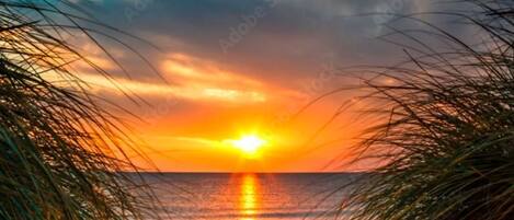 A beach scene with a sunset, palm fronds framing the view, and calm water reflecting the sky.