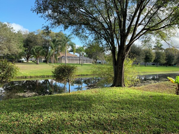 A park with a pond, trees, and a building in the background.