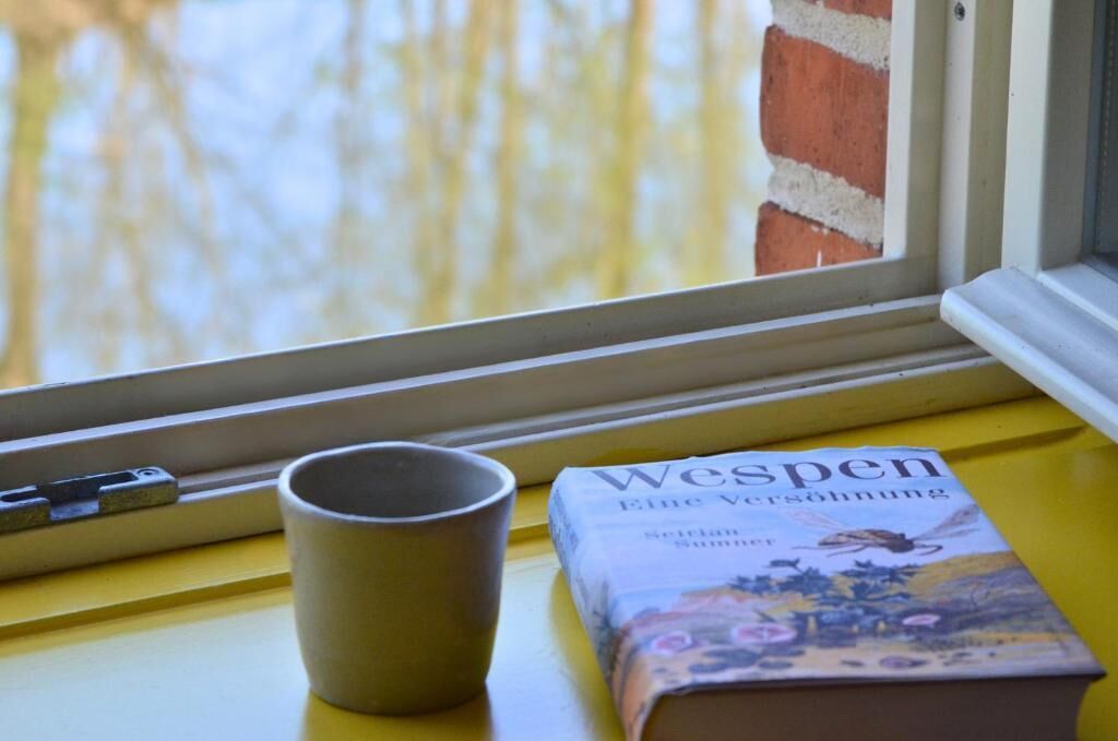 Una finestra con vista su un muro di mattoni, un libro intitolato 'Wespenn' su una superficie gialla, e una tazza accanto.