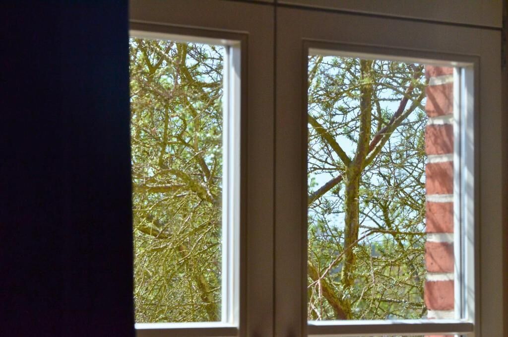 A window with a view of a tree and a brick wall.