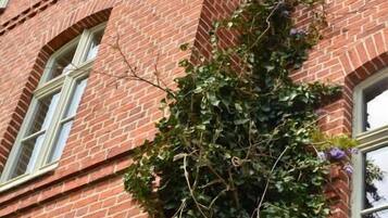 Casa, se aceptan mascotas, vista al canal | Detalle exterior