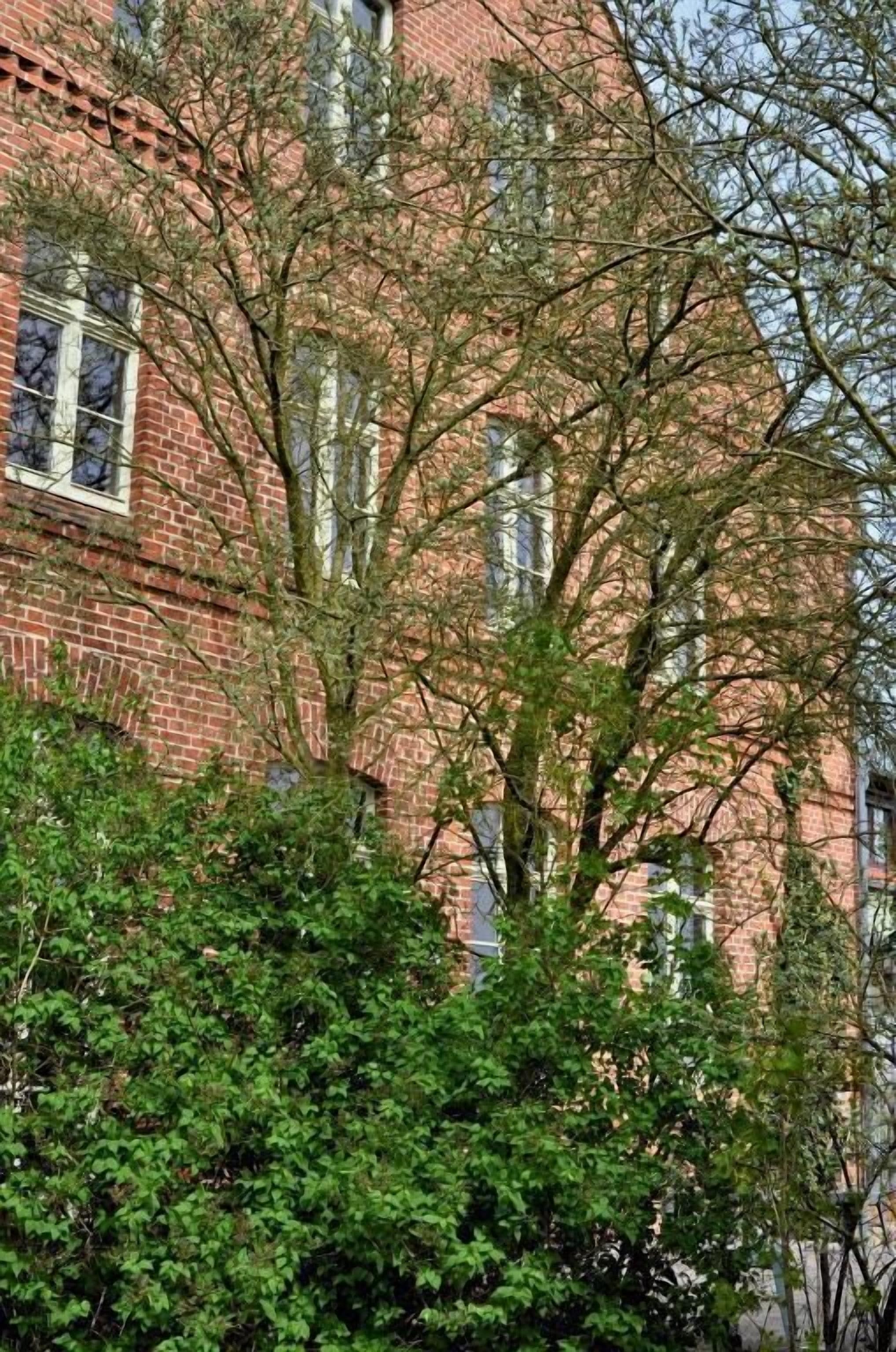 Casa, se aceptan mascotas, vista al canal | Exterior
