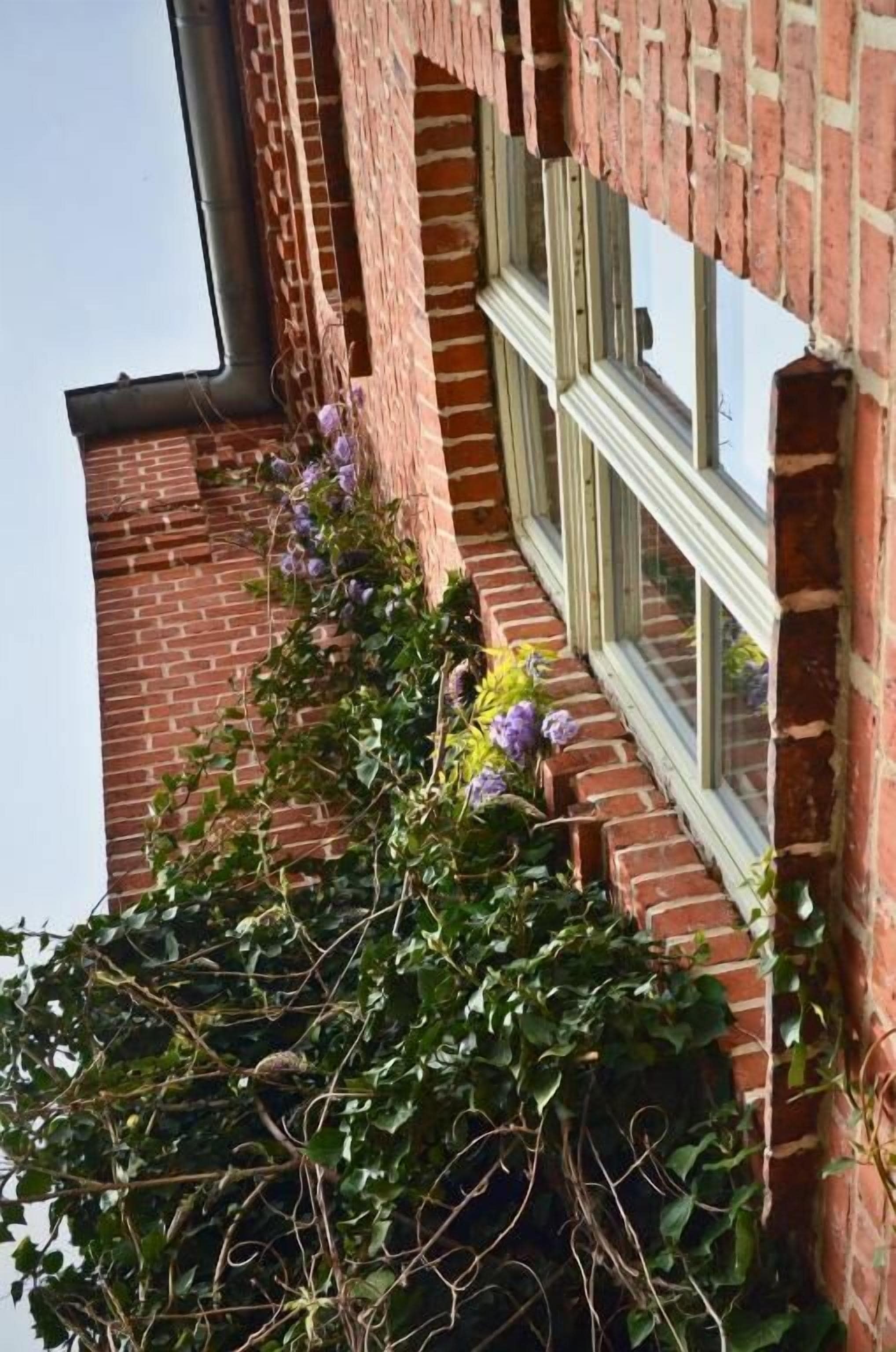 Ferienhaus, Haustiere gestattet, Kanalblick | Außendetails