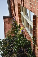 Casa, Se admiten mascotas, vistas al canal | Detalle del exterior
