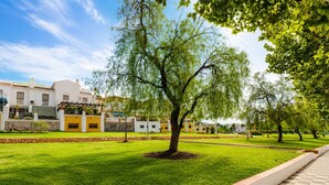 Ein gepflegter Rasen mit einem Baum in der Mitte, umgeben von einer niedrigen Steinmauer und einem gepflasterten Weg.