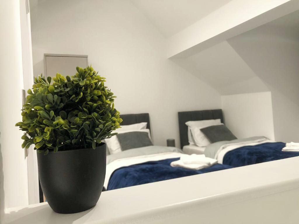 A modern bedroom with a black potted plant on a windowsill, two beds with white bedding and dark blue throw pillows, and a white door in the background.