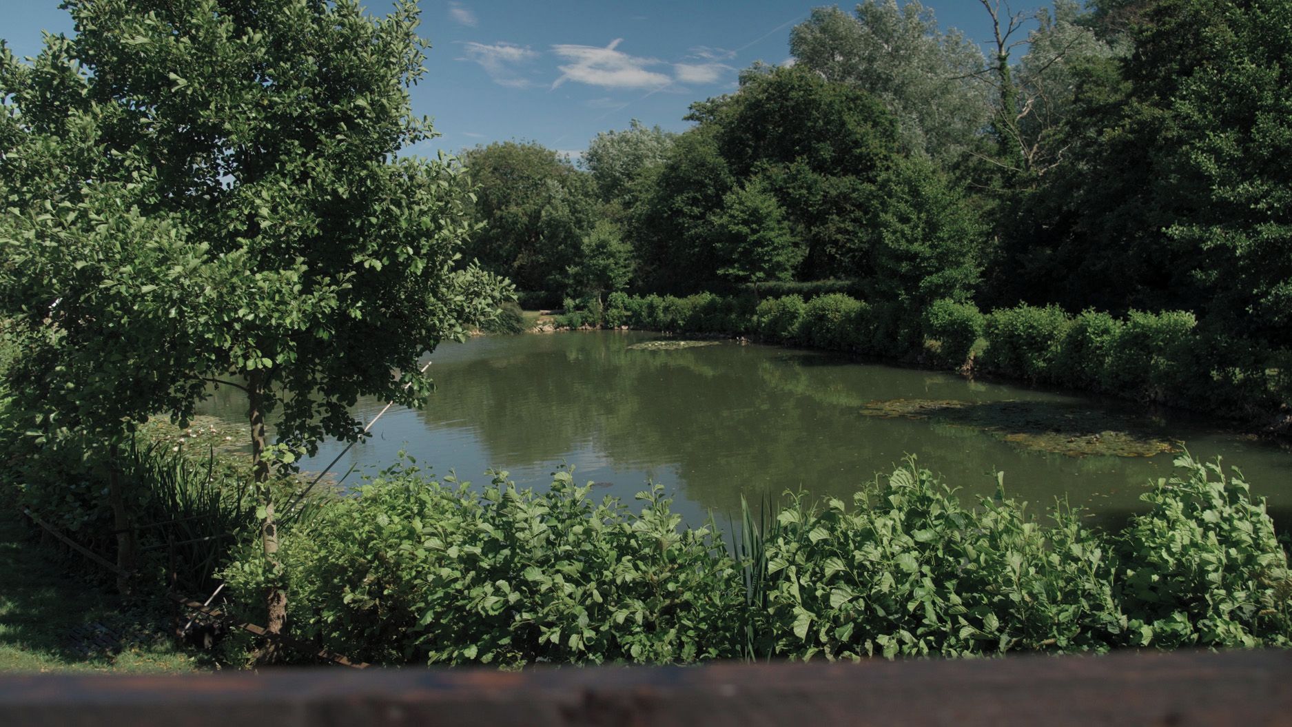 Un paysage naturel composé d’une étendue d’eau entourée d’une végétation luxuriante et d’arbres.