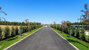 A straight road flanked by green hedges and red flowers, leading to a building with a covered entrance.