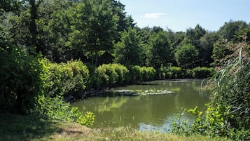 Un paysage naturel avec une rivière, une végétation luxuriante et un ciel dégagé.
