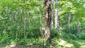 A forested area with a disc golf basket attached to a tree.