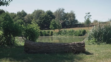 A log in a grassy area with a body of water and trees in the background.