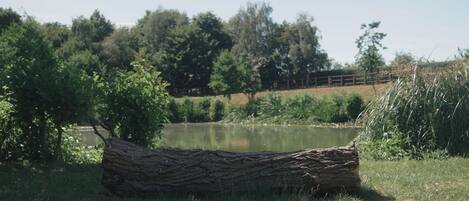 A log in a grassy area with a body of water and trees in the background.