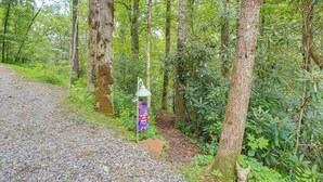 A forested area with a gravel path, trees, and a decorative lantern post. - On-site Trout Stream & Fire Pit! Murphy Tiny Home (Murphy)