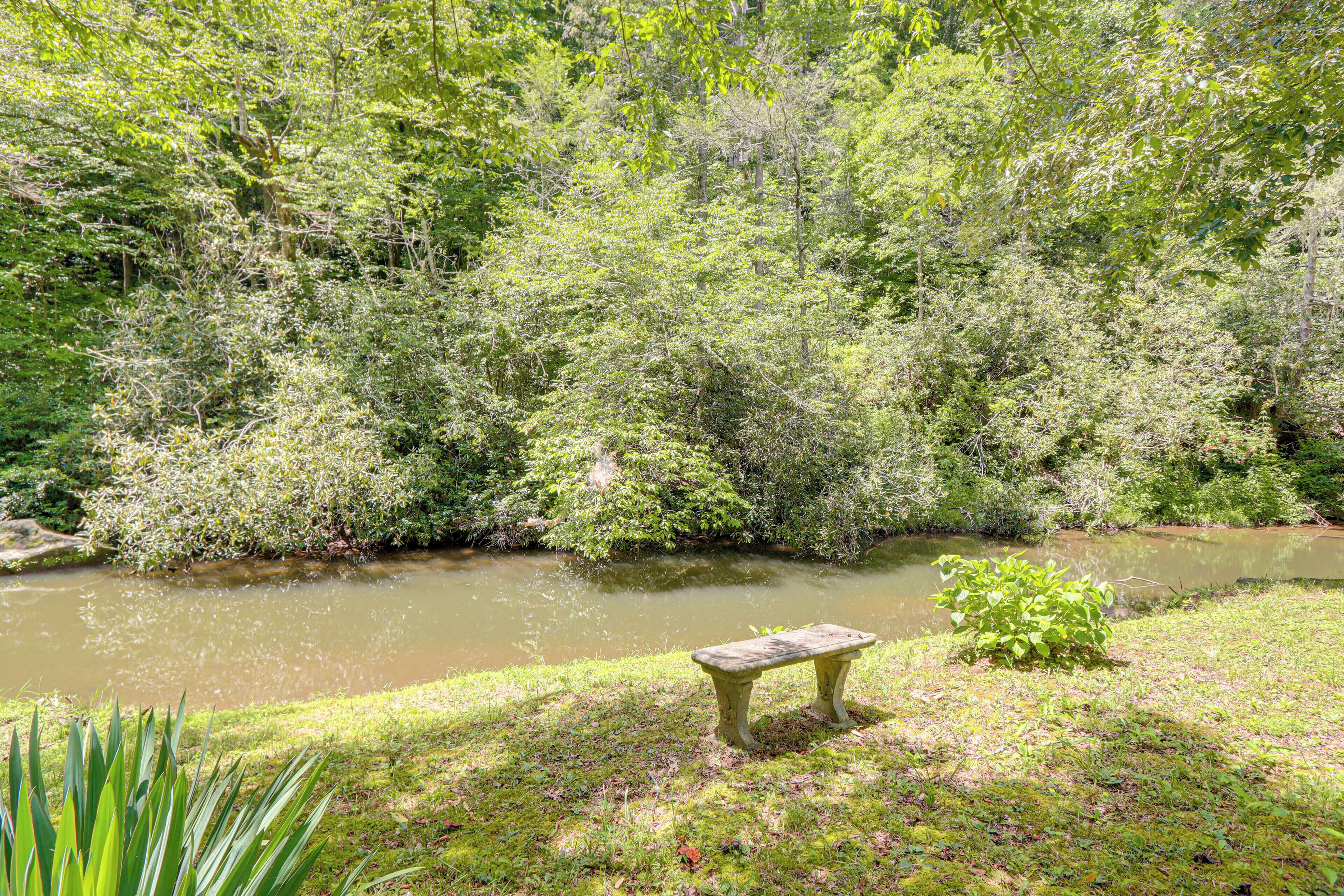 Un banc au bord d’une rivière paisible, entouré d’une végétation luxuriante.