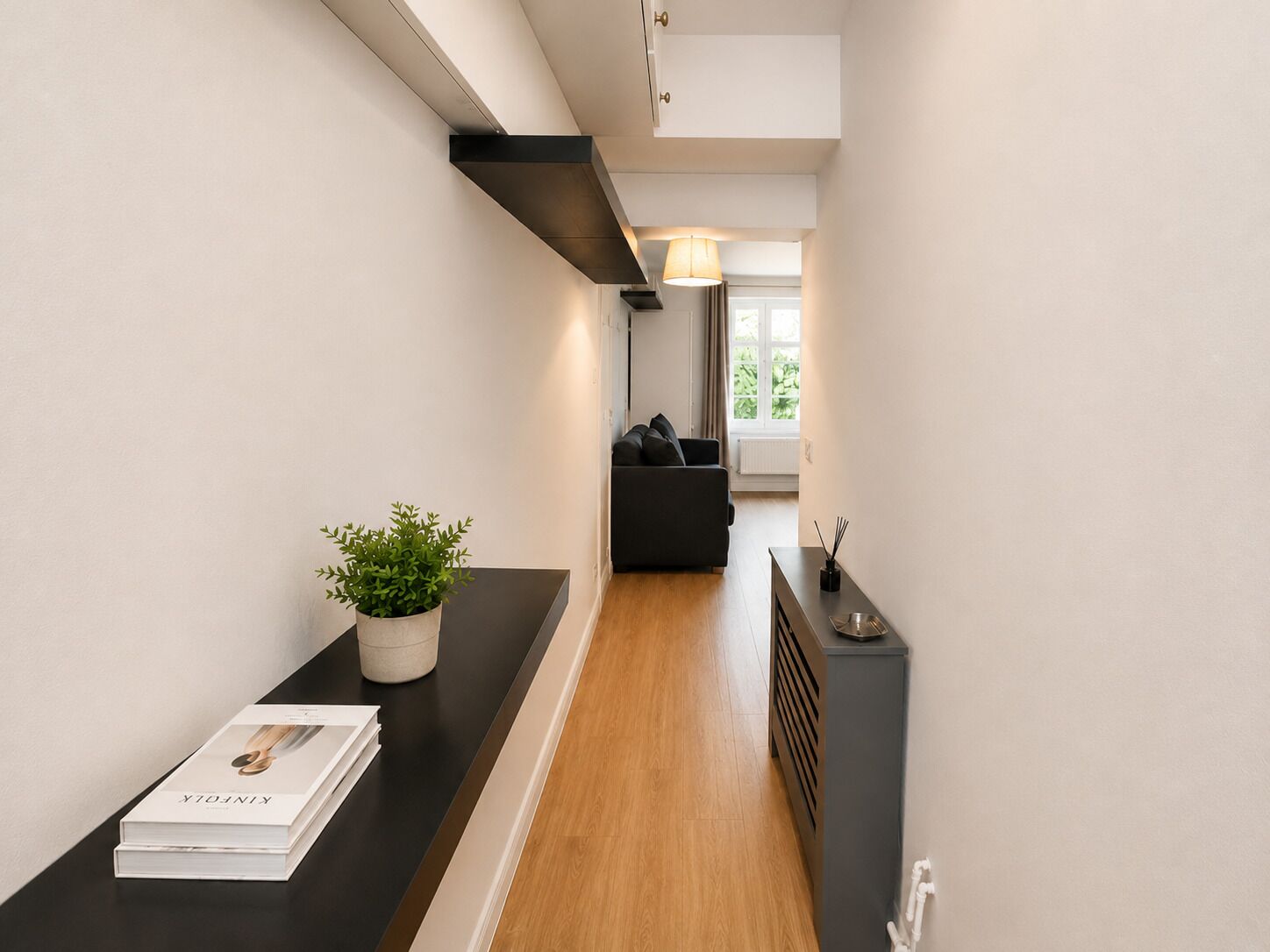 A modern hallway with a black countertop, a potted plant, and a book.