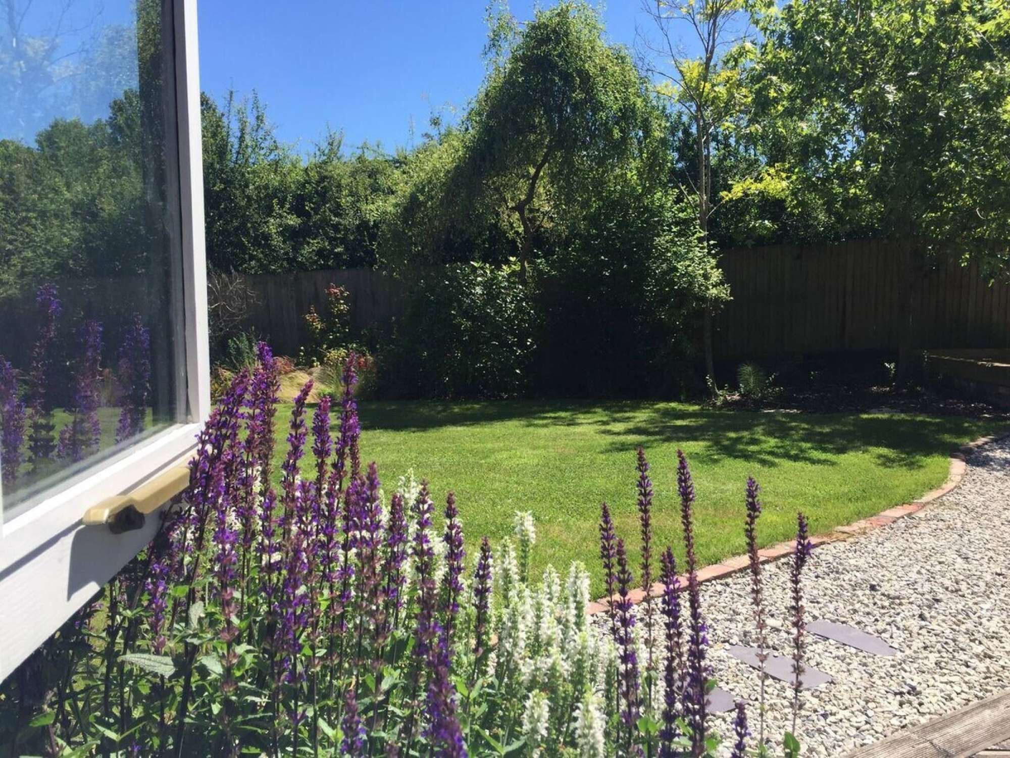 A backyard with a lawn, a wooden fence, and various plants.