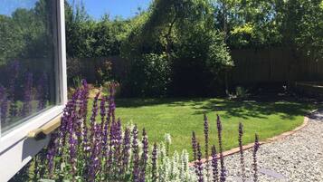 A backyard with a lawn, a wooden fence, and various plants.