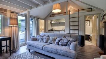 TV, fireplace, books