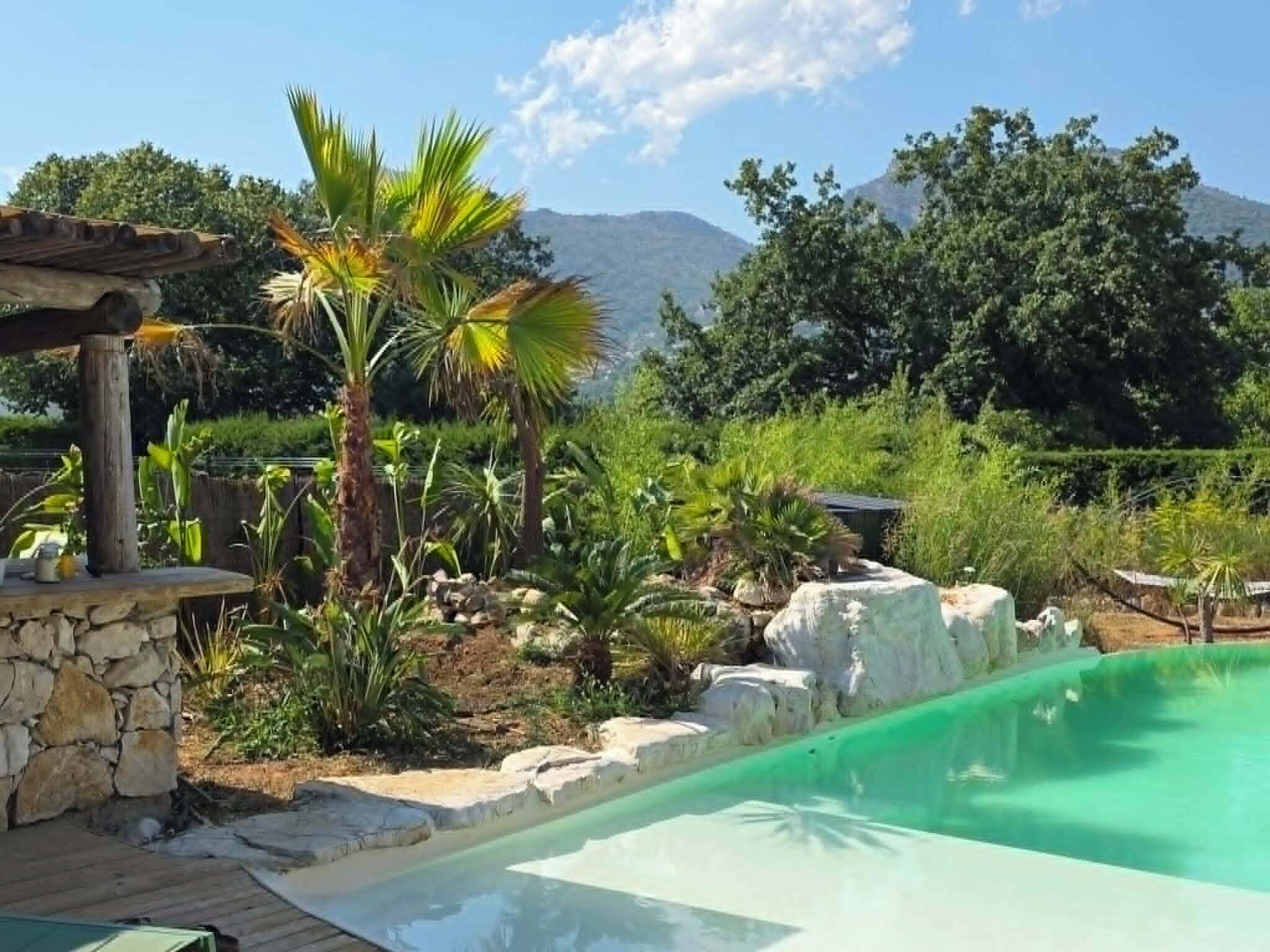 A pool area with a stone wall, palm trees, and a mountainous backdrop.