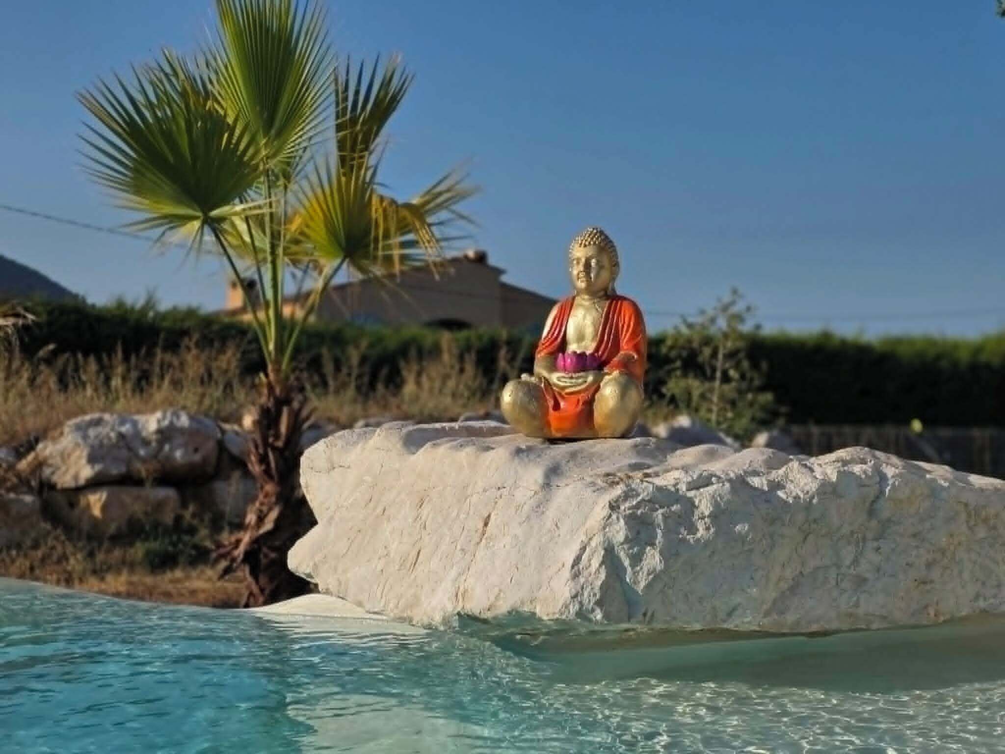 A Buddha statue on a rock by a pool.