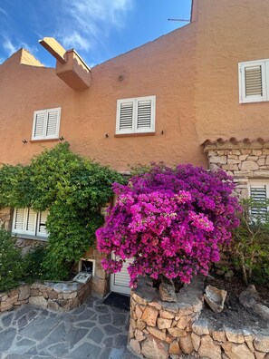 Ein Gebäude mit Steinmauern und Fensterläden, eine Steintreppe und üppiges, violettes Bougainvillea.