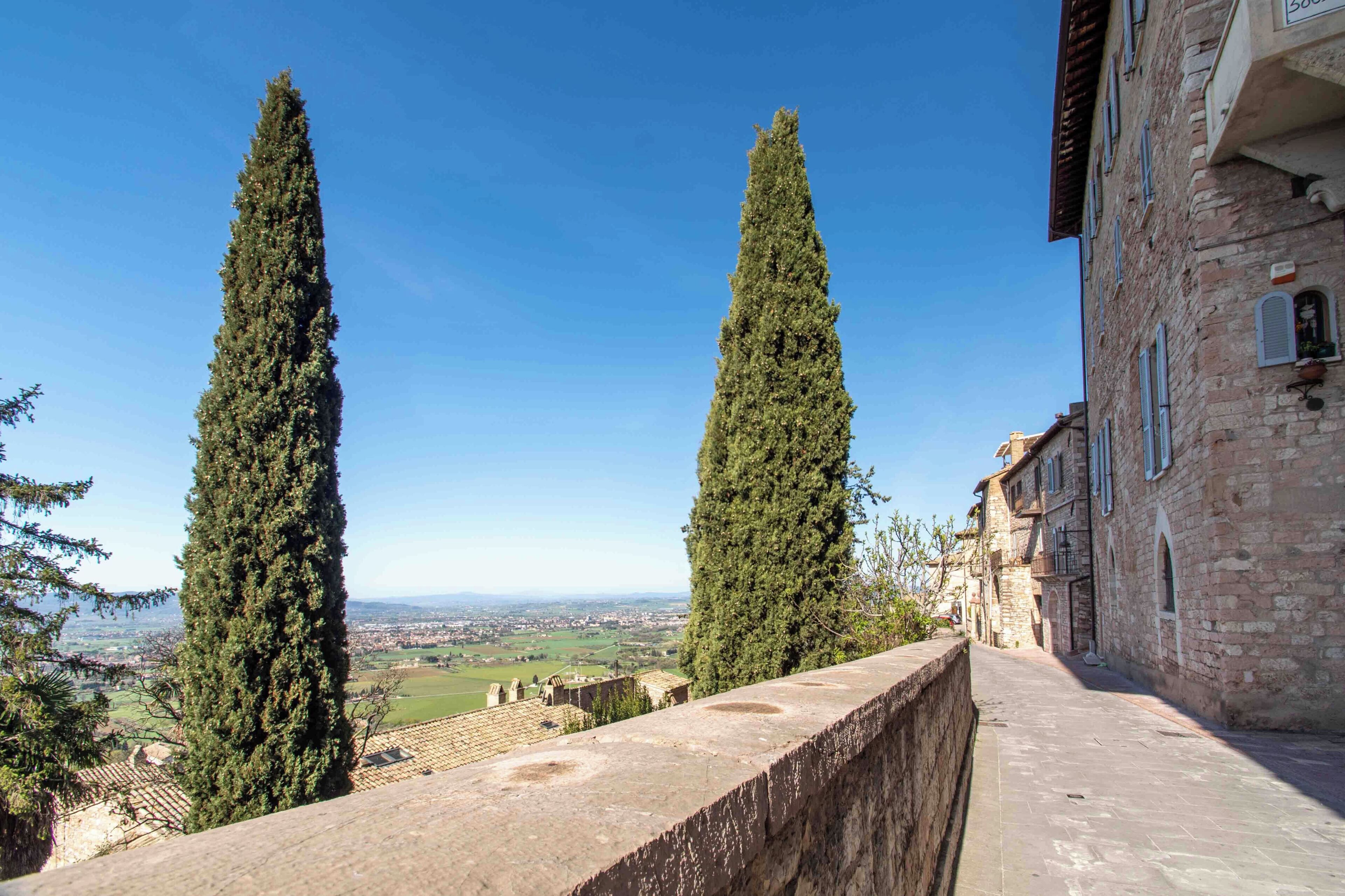 A stone wall with two tall cypress trees, a clear blue sky, and a distant view of a town.