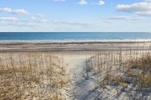A sandy beach with sparse vegetation and a clear view of the ocean. - Seabiscuit-Oceanfront Home with Private Pool (Atlantic Beach)
